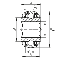 調(diào)心深溝球軸承 GVKE16-205-KRR-B-2C-AS2/V-AH01, 球面外圈，內(nèi)圈帶方孔，兩側(cè) R 型密封